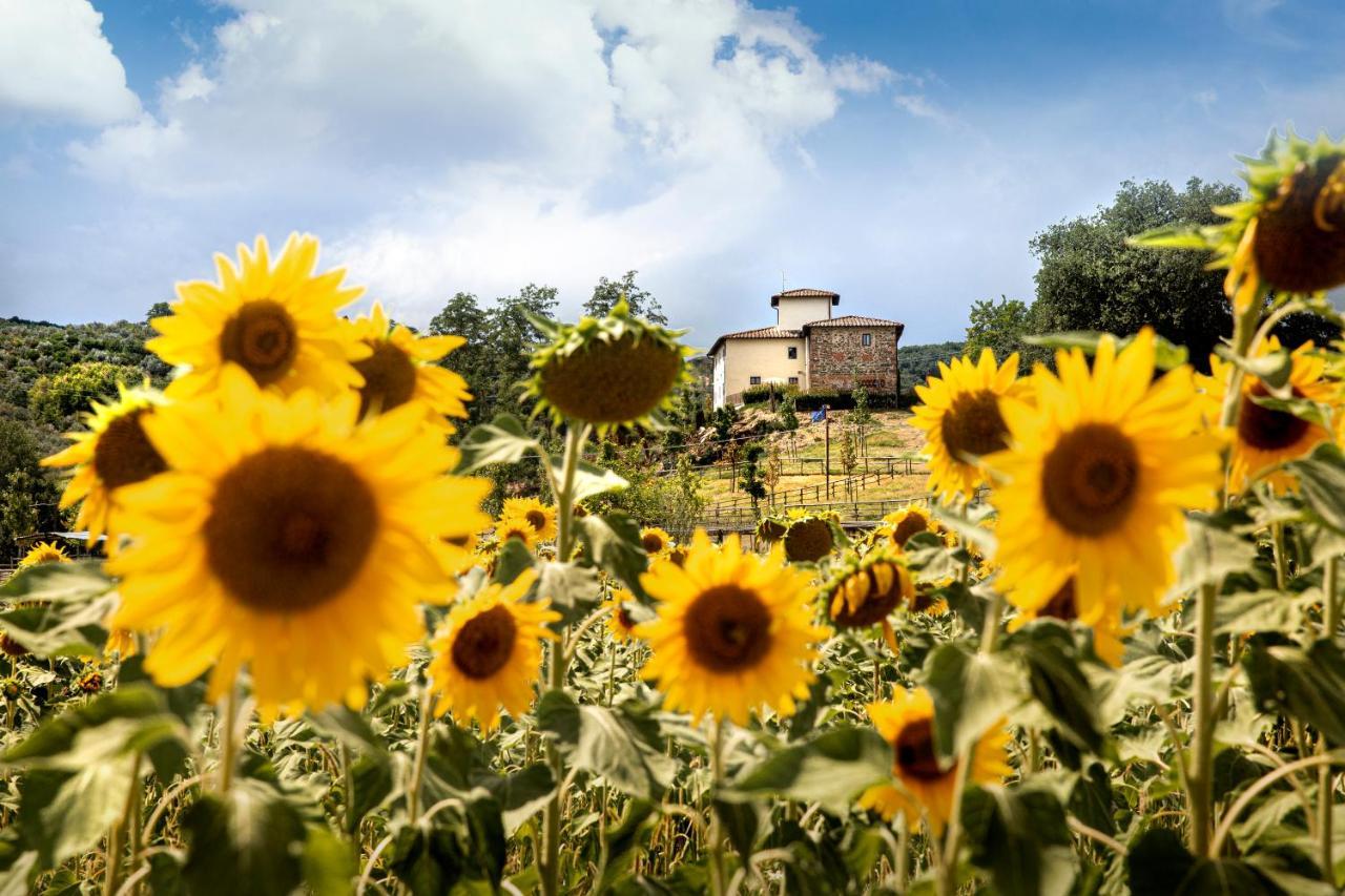 Palagina La Cascina Villa Figline Valdarno Eksteriør billede