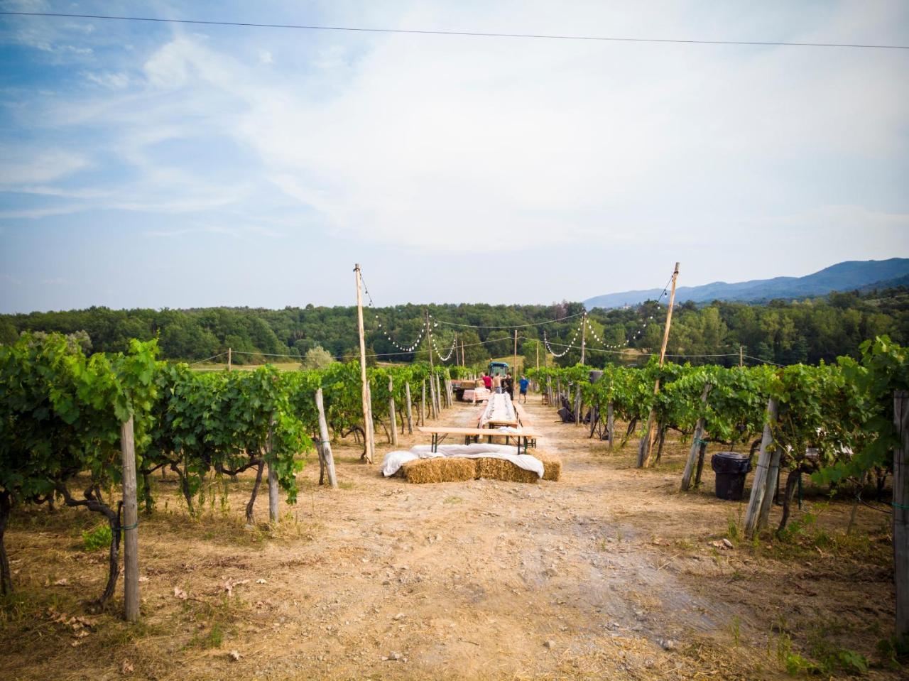 Palagina La Cascina Villa Figline Valdarno Eksteriør billede
