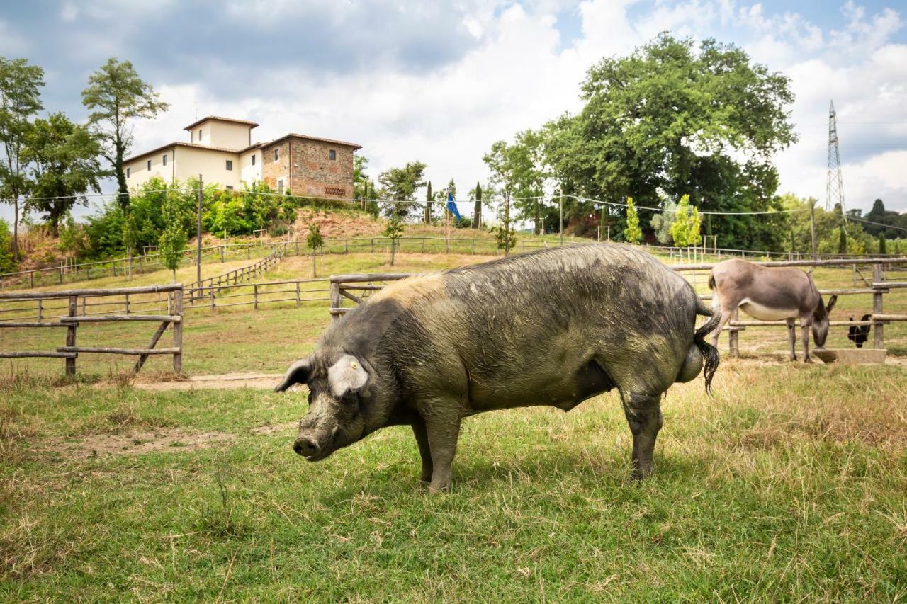 Palagina La Cascina Villa Figline Valdarno Eksteriør billede